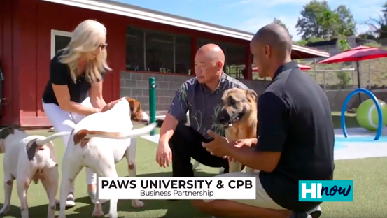 A still from a business feature segment showing three people interacting with dogs in an outdoor play area. On-screen text reads “Paws University & CPB Business Partnership,” with a building and pet agility equipment visible in the background.