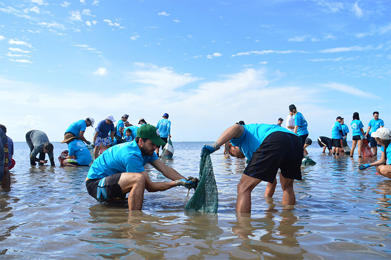 Volunteers wearing blue shirts work together in shallow coastal waters, using nets and collecting items during an environmental restoration or shoreline cleanup activity.