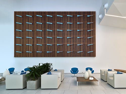 A modern Central Pacific Bank lobby features white lounge seating, blue accent chairs, indoor plants, and a large decorative wood art installation mounted on a high wall. The bright, open space has a clean contemporary design with a central coffee table and minimalist décor.